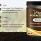 🔥BUY 1 GET 1 FREE🔥Soil Improvement Loosening Agent