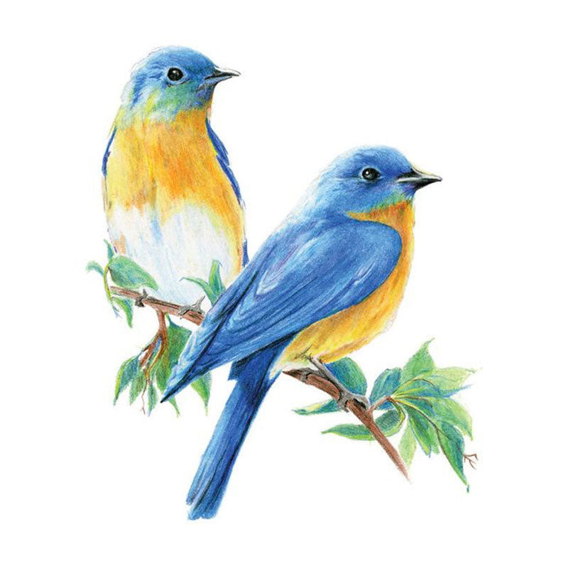 48 Colors Pencil Set Oily Colored Painting Pens-5