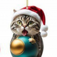 🎄10 pezzi 😻  Decorazioni natalizie per l'albero a forma di gatto. Decorazioni natalizie da appendere a forma di gatto.