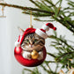🎄10 pezzi 😻  Decorazioni natalizie per l'albero a forma di gatto. Decorazioni natalizie da appendere a forma di gatto.
