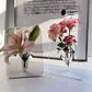 Ästhetik im nordischen Stil Elegant Ins Fotorahmen-Vase💐