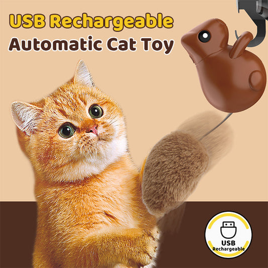 😸Automatisch aufladbares USB-Katzenspielzeug