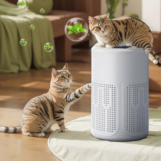 🌬️ 60% OFF  NOW💧! 🔥 Compact home air purifier – 2026 bestseller – Quiet, energy-efficient, and perfect for allergy sufferers, dust, and pet hair 🏠