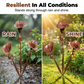 🎐🌿 Calla Lily Garden Stake with Bell Chimes – Elegant Metal Flower, Wind-Activated Chimes, Rustproof, Stakes into Soil. Perfect for Patio, Yard or Flower Bed 🌸🔔✨
