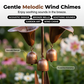 🎐🌿 Calla Lily Garden Stake with Bell Chimes – Elegant Metal Flower, Wind-Activated Chimes, Rustproof, Stakes into Soil. Perfect for Patio, Yard or Flower Bed 🌸🔔✨