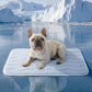 ❄️[Summer Sale] Pet Cooling Ice Silk Mat – Summer Cooling Pet Bed Pad for Dogs and Cats, Breathable Washable Sleeping Cushion for Indoor and Outdoor Use, Lightweight Cooling Crate and Sofa Pet Mat