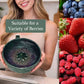 🍓 50% OFF NOW!🔥Berry Swirl Washing & Serving Bowl – Dual-purpose colander design, non-slip base & perfect for rinsing, draining & serving berries or snacks 🥣