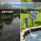 ☀️ Solar pond aerator with built-in air pump🐟