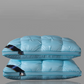 🥳 2026 HOT SALE 🥳 💞 Comfortable & Washable Neck Pillow✈️ Free Shipping