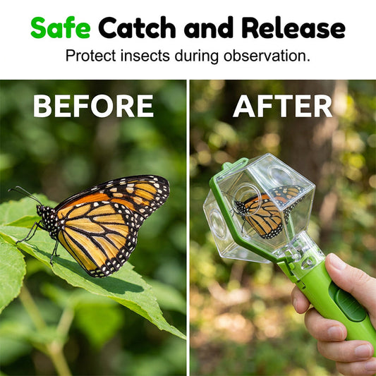 🐞⏰Interactive Bug Catcher for Kids