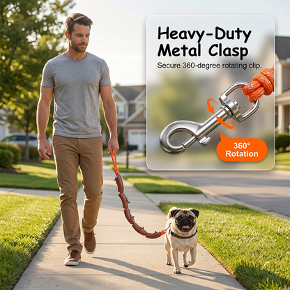 Playful Sausage Dog Leash