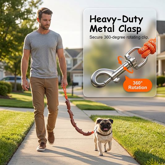 Playful Sausage Dog Leash