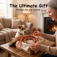 Playful Sausage Dog Leash