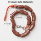 Playful Sausage Dog Leash