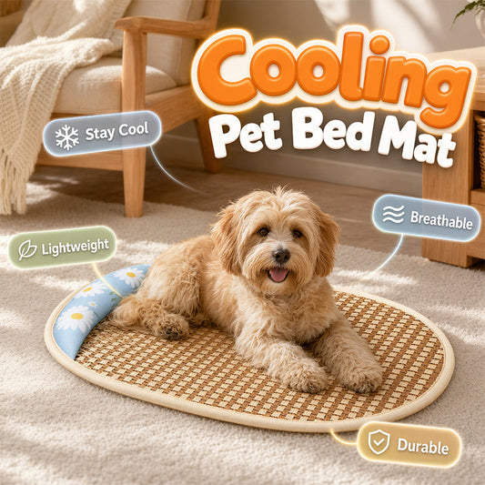 🔥Summer Hot Sale 49% OFF🧊Summer Cooling Dog Bed with Rattan Mat and Supportive Pillow Border