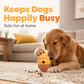 Interactive Pet Slow Feeder & Chew Toy