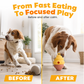 Interactive Pet Slow Feeder & Chew Toy