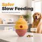 Interactive Pet Slow Feeder & Chew Toy